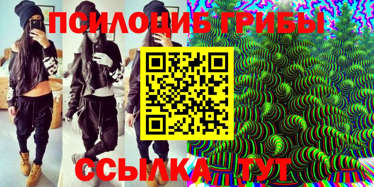 Галлюциногенные грибы Cubensis Санкт-Петербург