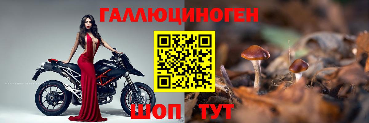 Псилоцибиновые грибы Cubensis  Вход с VPN  купить наркоту  Санкт-Петербург  Псилоцибиновые грибы MAGIC MUSHROOMS 