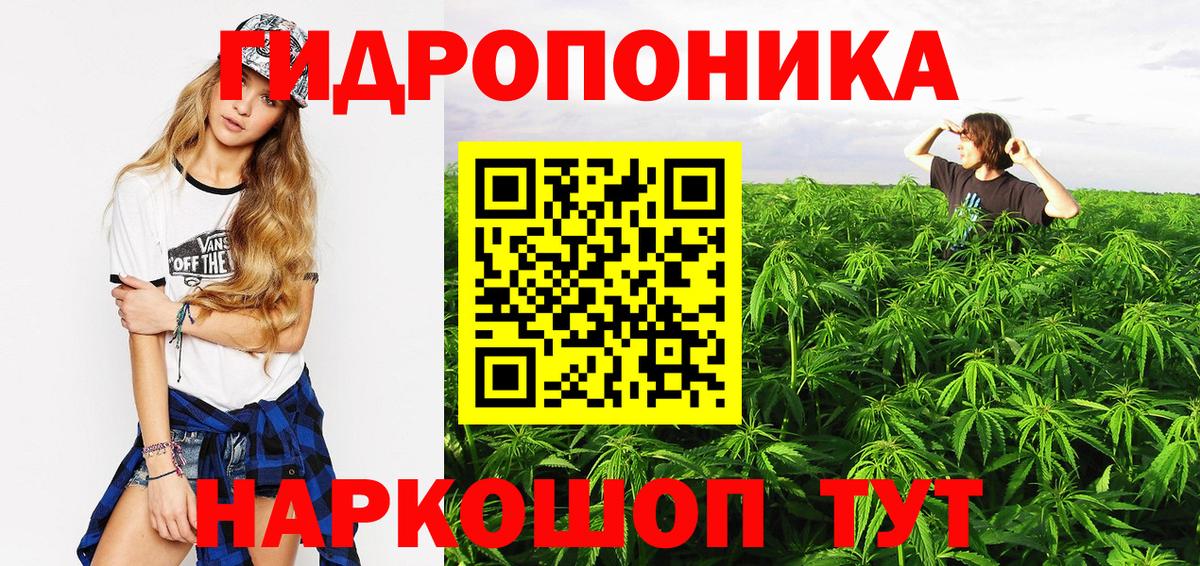 Бошки марихуана Bruce Banner  Конопля AK-47  Марихуана LSD WEED  Санкт-Петербург  Вход с VPN 